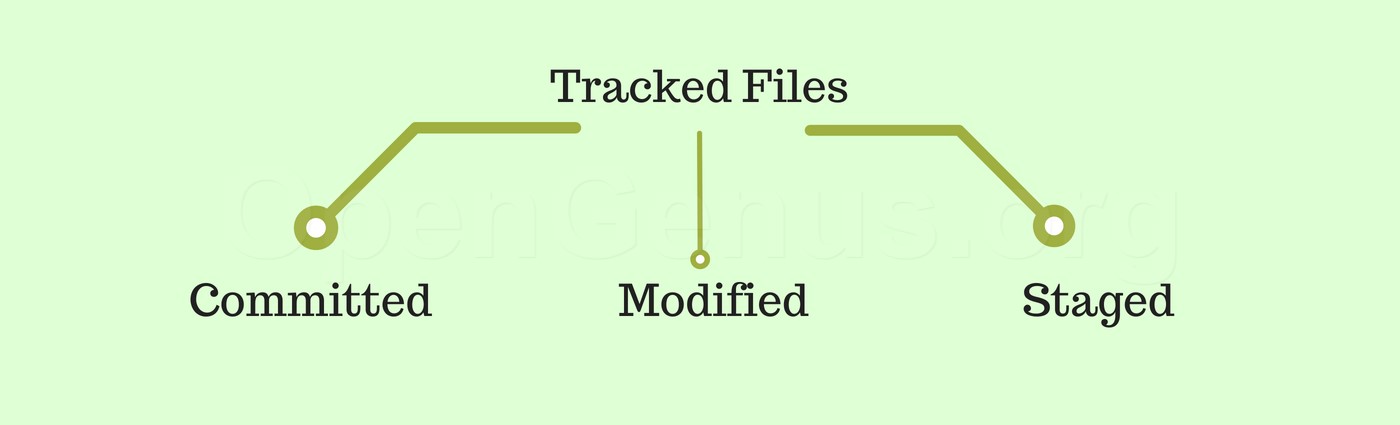 committed, modified and staged files git