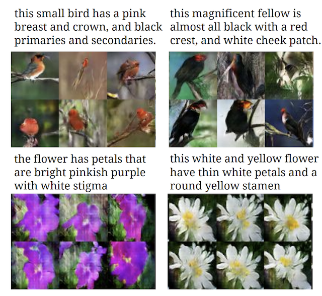 Example of Textual Descriptions and GAN-generated photos of flowers and birds