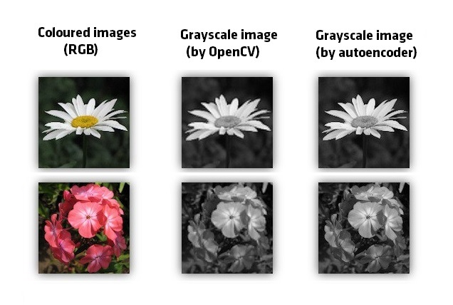 Converting Colored Images Rgb To Grayscale Using Autoencoder Software Engineering 