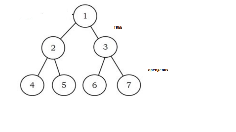 tree_ds-1