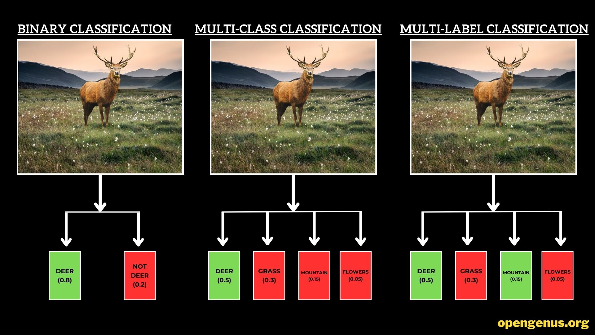 Multi-Class vs Multi-Label vs Binary Classification