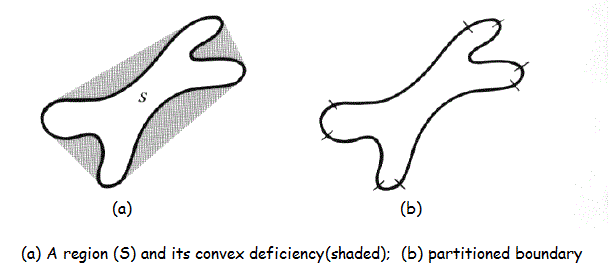 shape analysis of convex hull