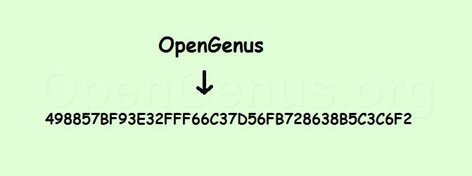 SHA1 hash of OpenGenus