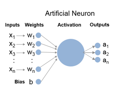 neuron