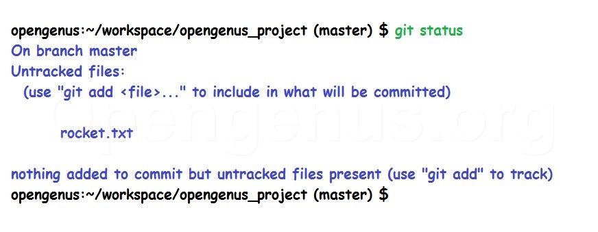 git status