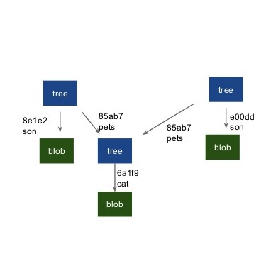 How Git uses Tree data structure concepts?