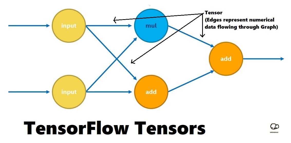 TensorFlow Tensor