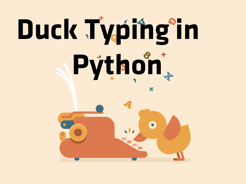 duck typing