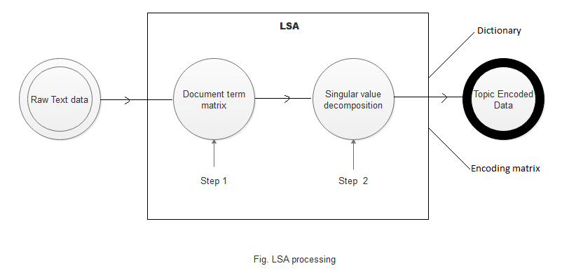 LSA-processing-1