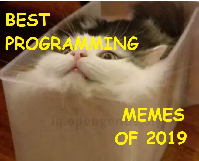 Best Programming Memes Of 2019