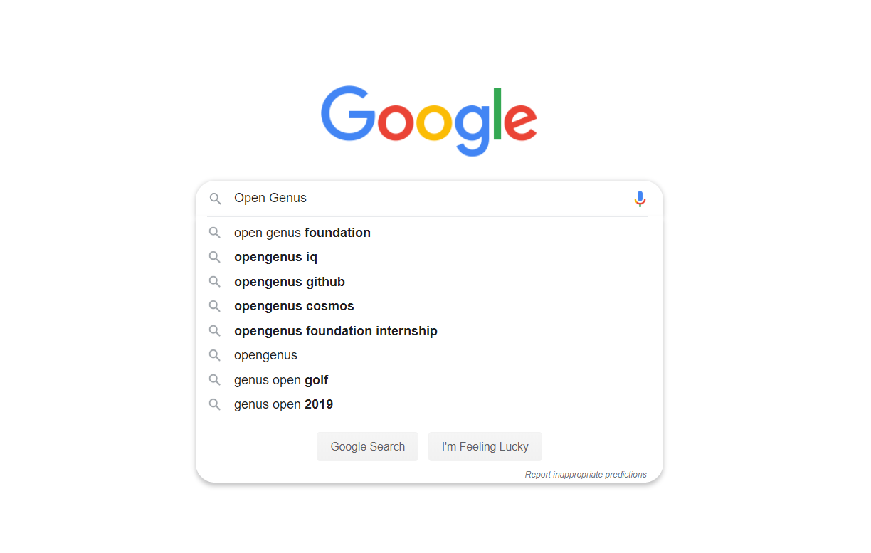 google search opengenus