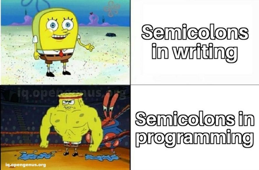 give semicolon some respect source: opengenus