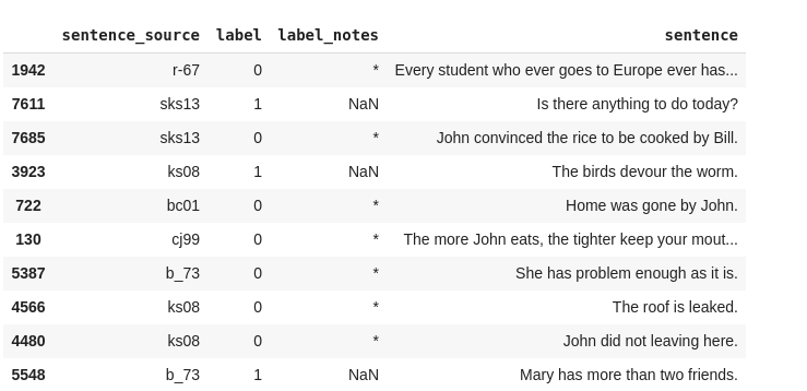 loaded-dataset