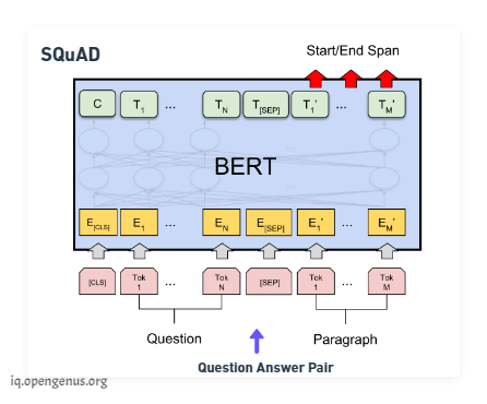 BERT Q & A Fine tuning