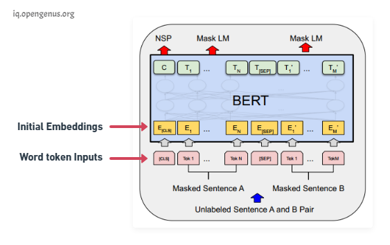 BERT Input Embeddings