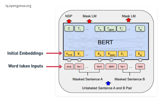 Overview Of The Trained Bert Models The Bert Model Ta - vrogue.co