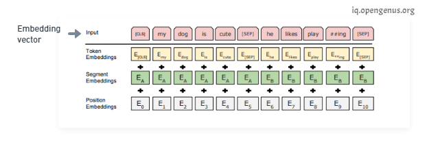 Embedding Vector