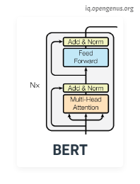 BERT structure