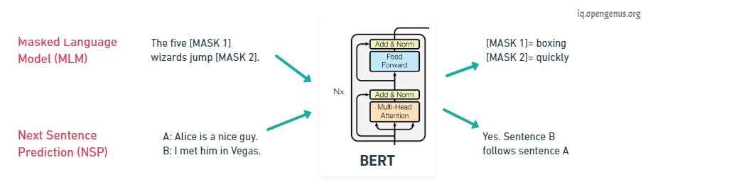 BERT MLM & NSP