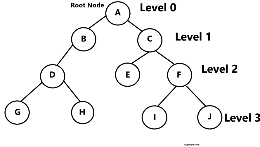 Check If A Binary Tree Is Balanced By Height   Binary Tree2 