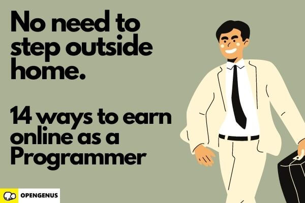 How to earn money online as a Programmer?