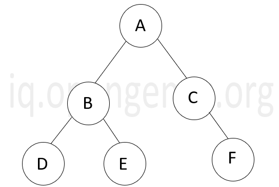 Binary-Tree-2