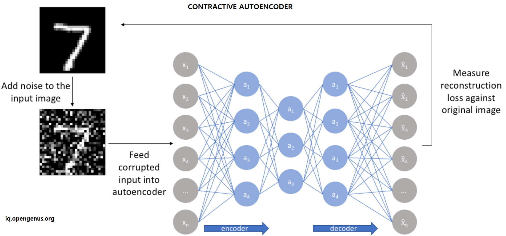 contractive autoencoder architecture
