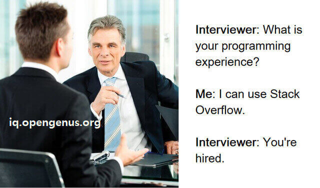 StackOverflow user goes to Interview