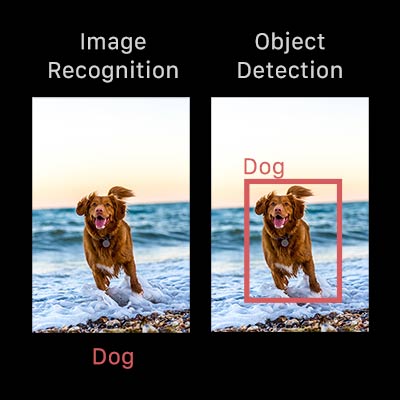 Image Recognition