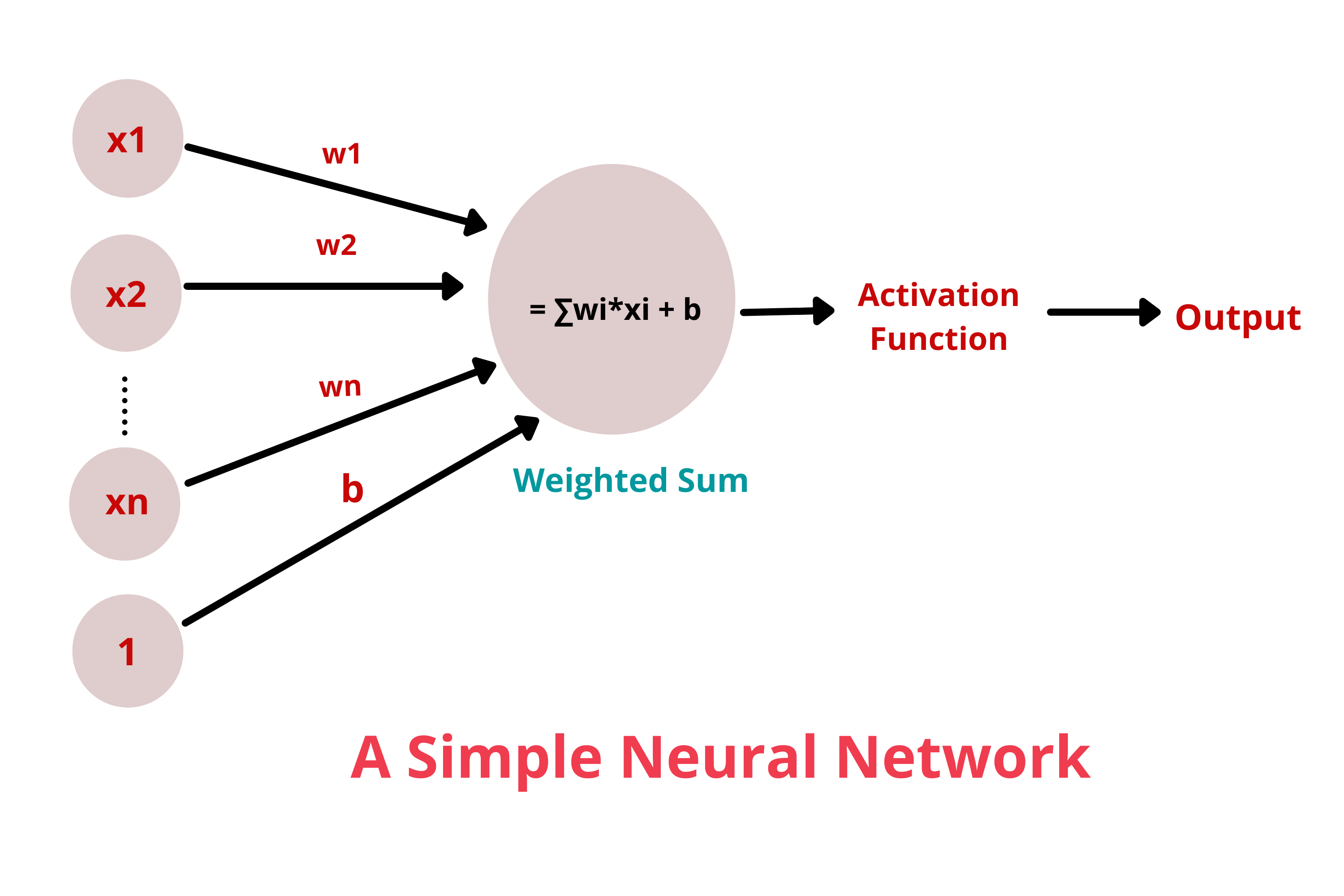 Linear Activation Function