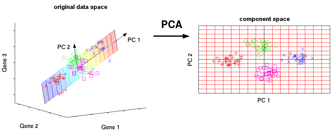 fig_pca_principal_component_analysis