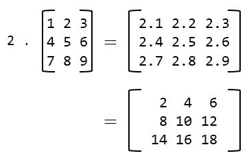 scalar-multiplication-of-matrix