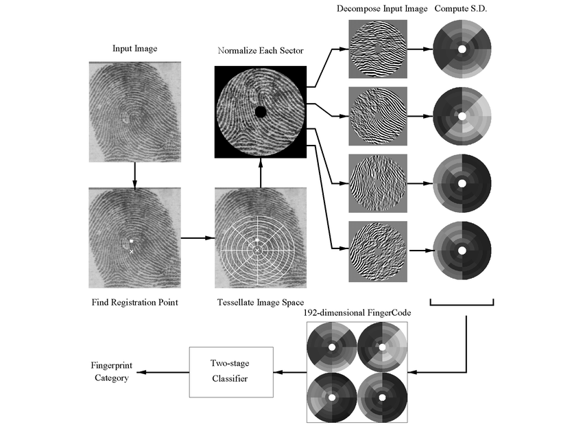 fingerprint-classification-algorithm