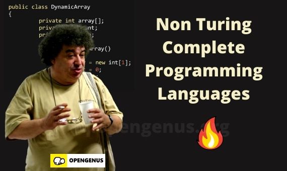 Non Turing Complete Programming Languages