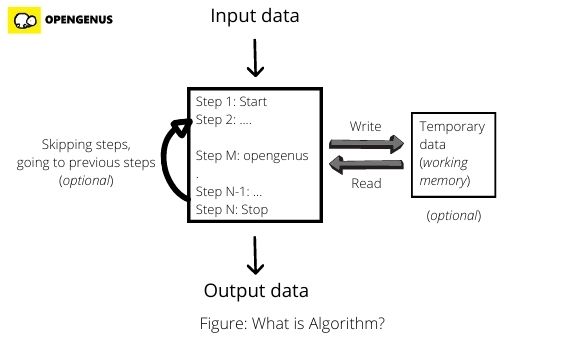 what-is-algorithm