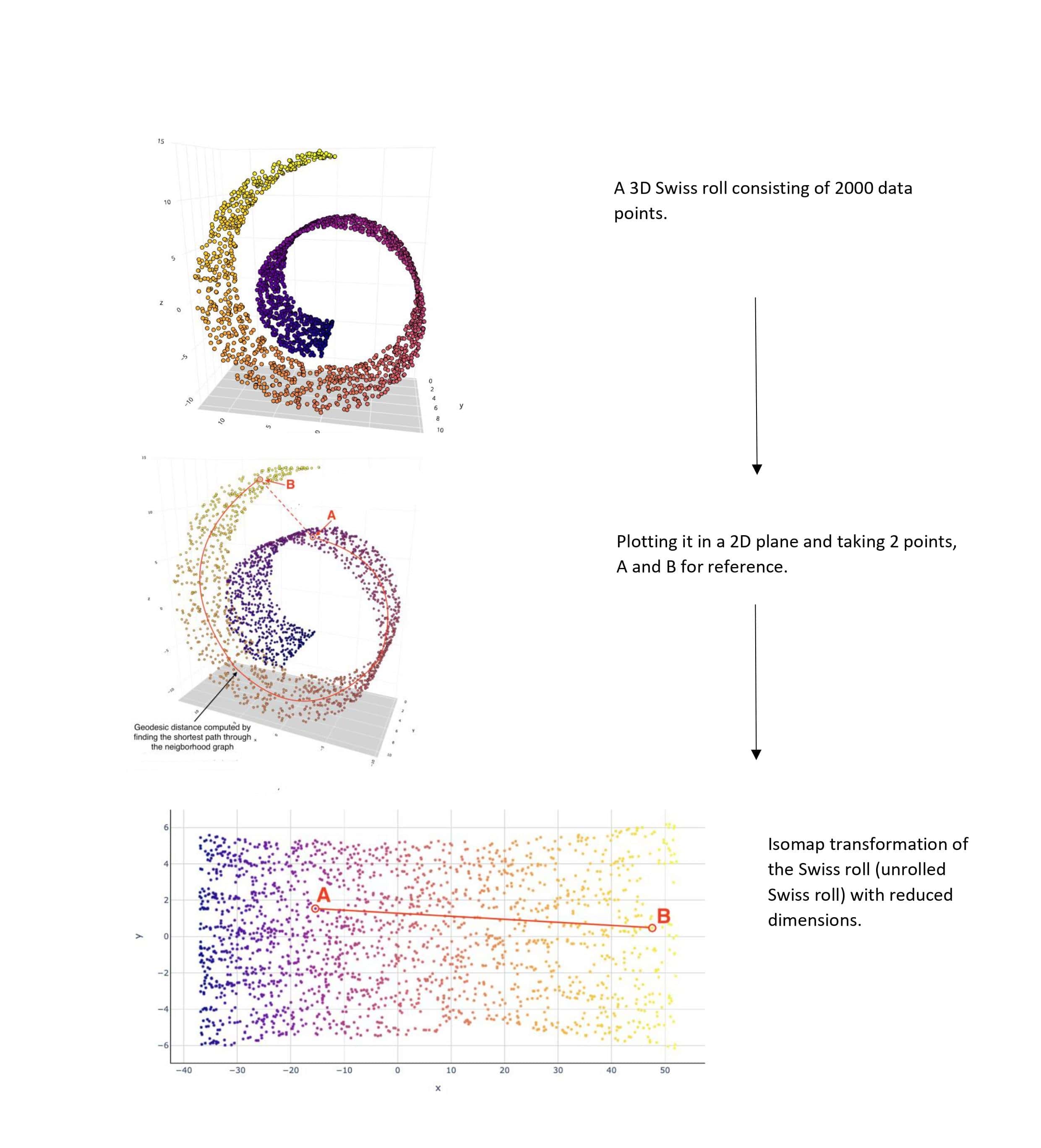 Isomap-transformation-min