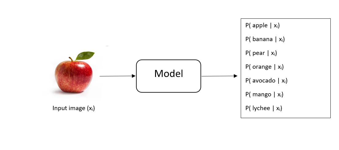 model-representation