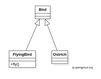 bird-ostrich-correct-1