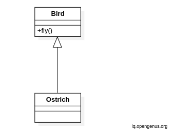 bird-ostrich-incorrect