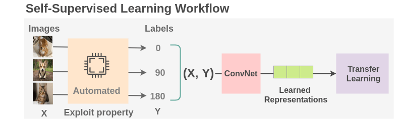 self-supervised-workflow