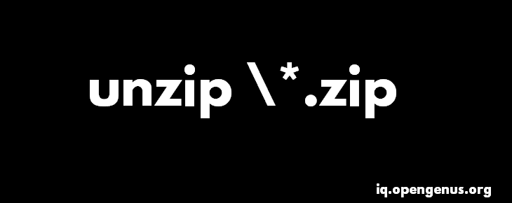 Unzip all ZIP files together at once in Linux