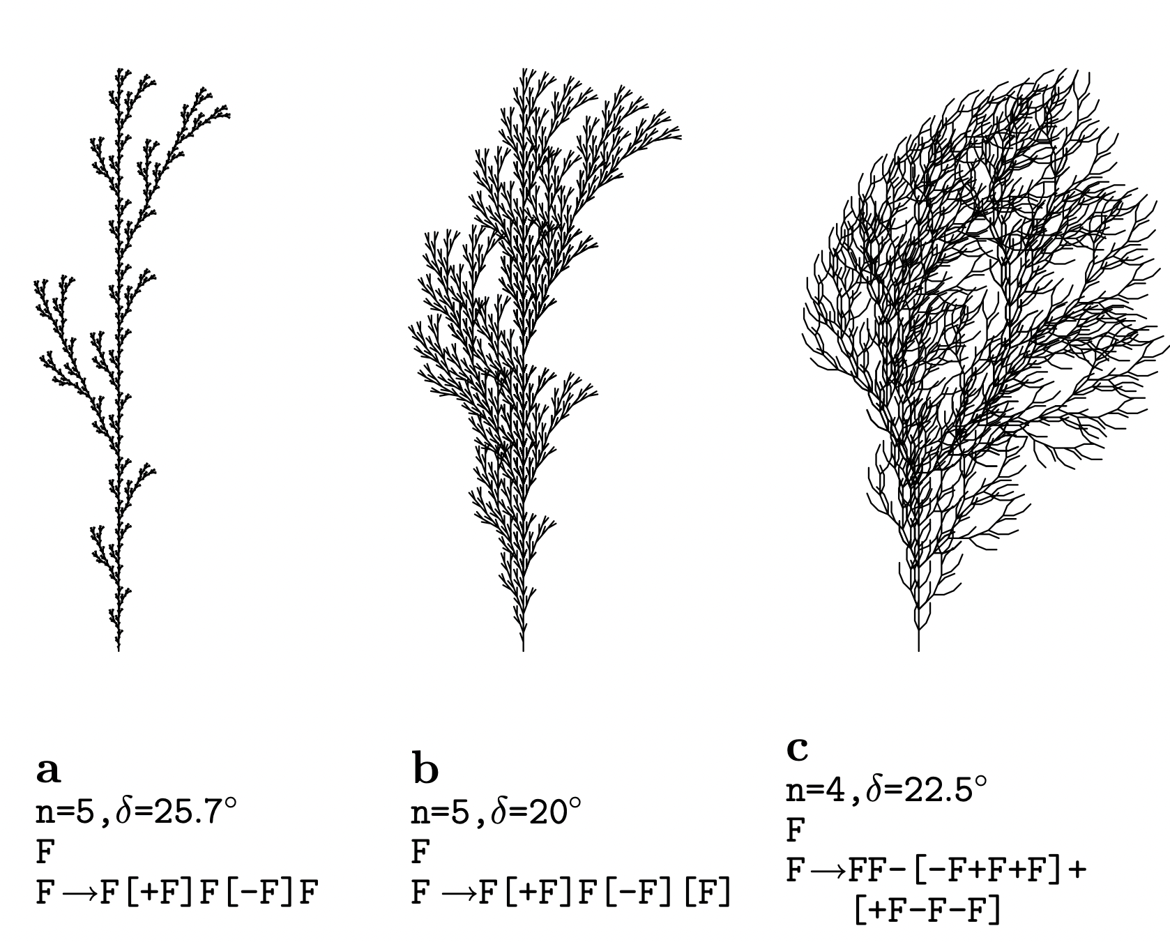 plants generated by lindenmayer